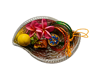 Silver plated plastic decorative plates small with mango design(Pack of 8pcs)