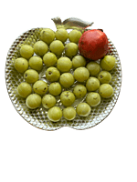 Silver plated plastic decorative plates with applefruit design(Pack of 5pcs)