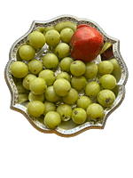 Silver plated plastic decorative plates with floral design(Pack of 5 pcs)