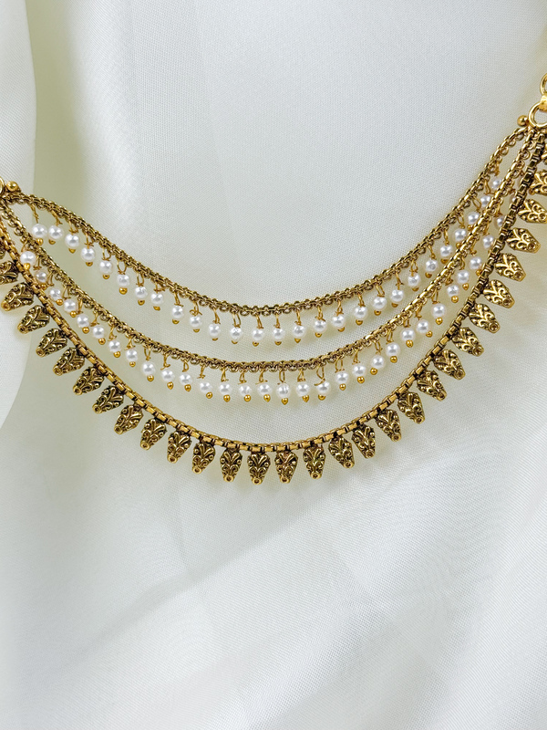 SARALAM ELEVATION PEACOCK DESIGN