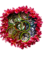 Silver plated plastic decorative plates with applefruit design(Pack of 5pcs)