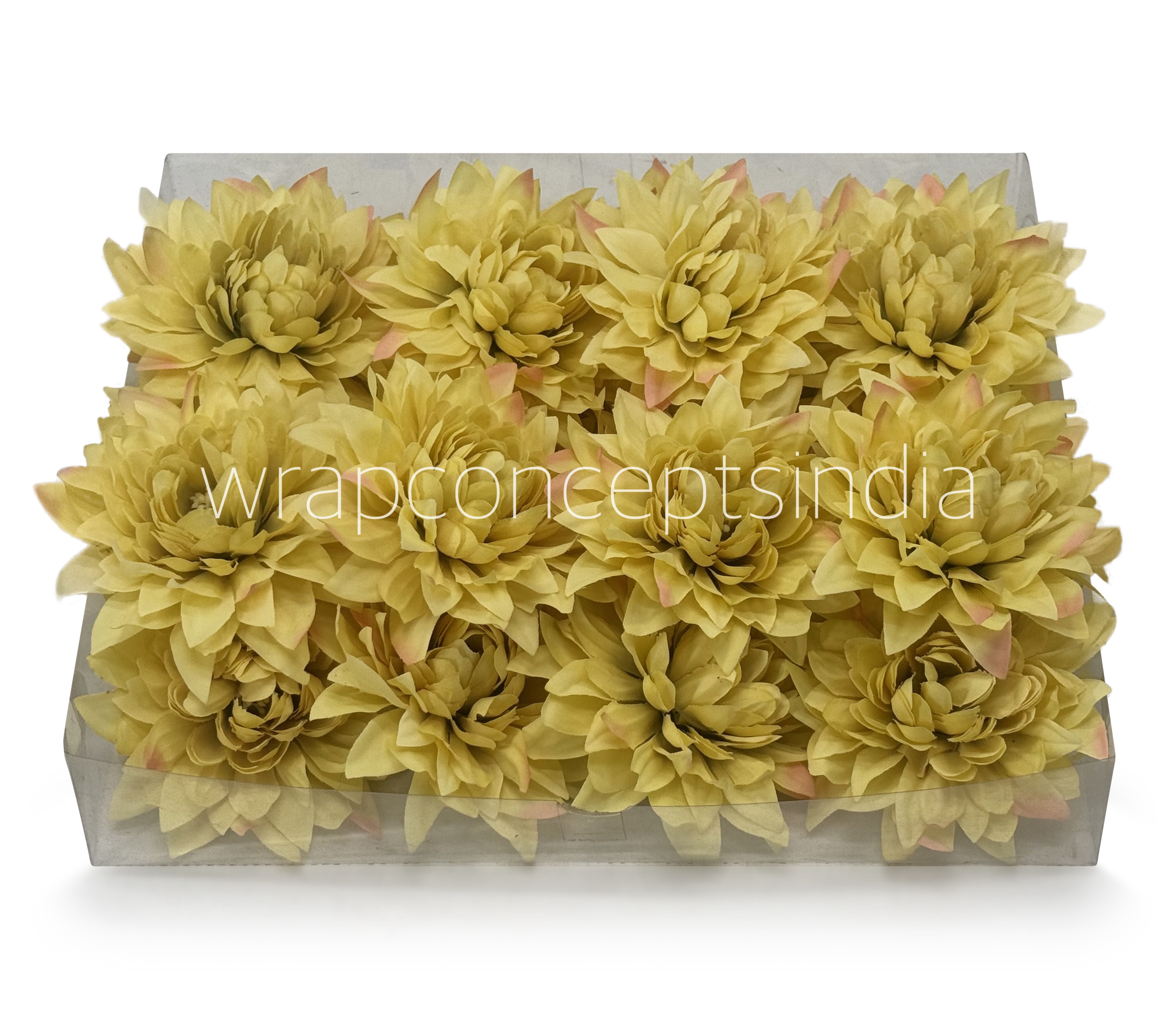 Lime Dahlia Flower