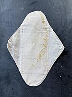 Panty Liner