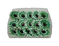 Seafoam with Peach Sunflower