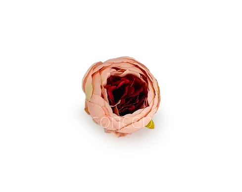 Peony - Peach with Brick Red