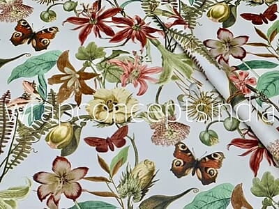 Tropical Fortune Tropical Fortune