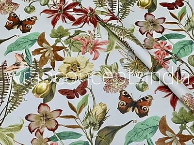 Tropical Fortune Tropical Fortune