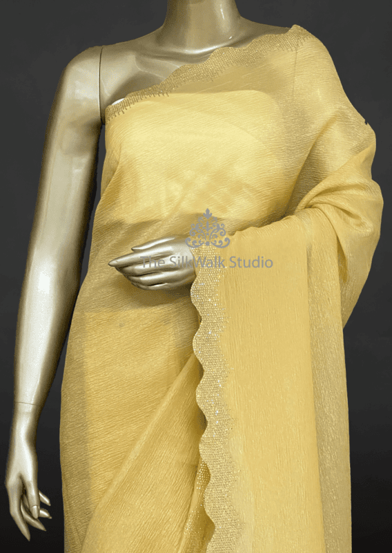 Rachel - The Crush Organza Saree in Crystal Work SWS220