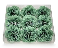 Pine Green Moutan Peony