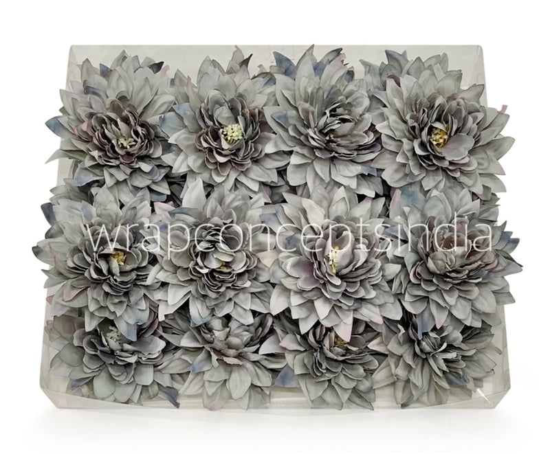Pastel Grey Dahlia Flower