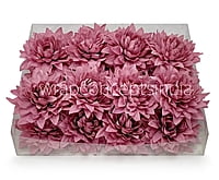 Cerise Dahlia Flower