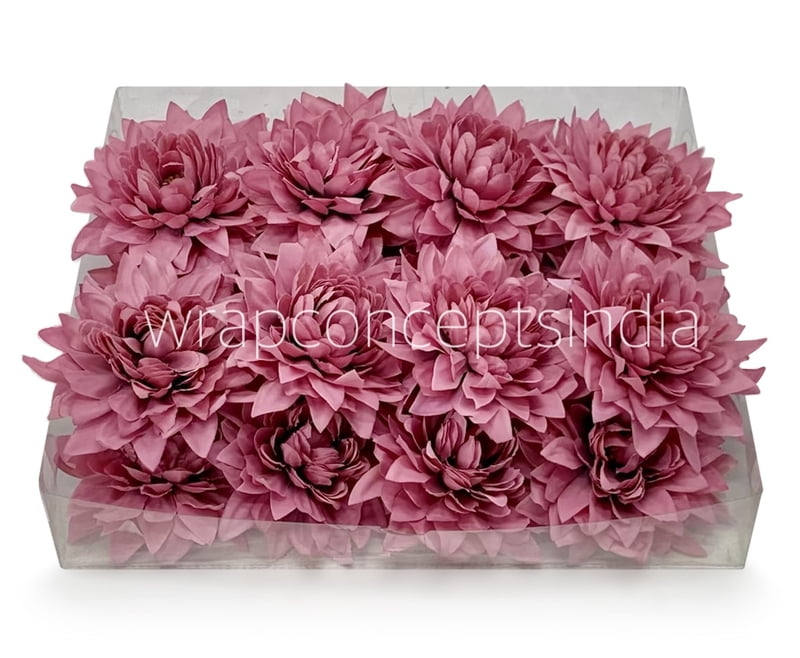 Cerise Dahlia Flower