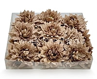 Walnut Dahlia Flower