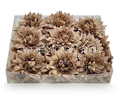 Walnut Dahlia Flower