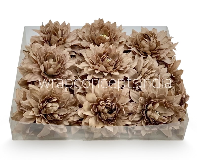 Walnut Dahlia Flower