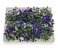 Purple & Green Big Baby Breath Florets