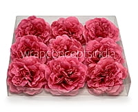 Fuchsia  Moutan Peony