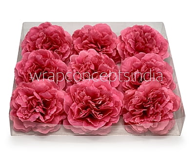 Fuchsia  Moutan Peony