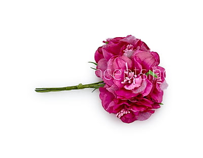 Fuchsia Pink Flower On Stick with Pollen