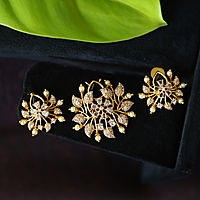 Fancy Design Dollar with earing