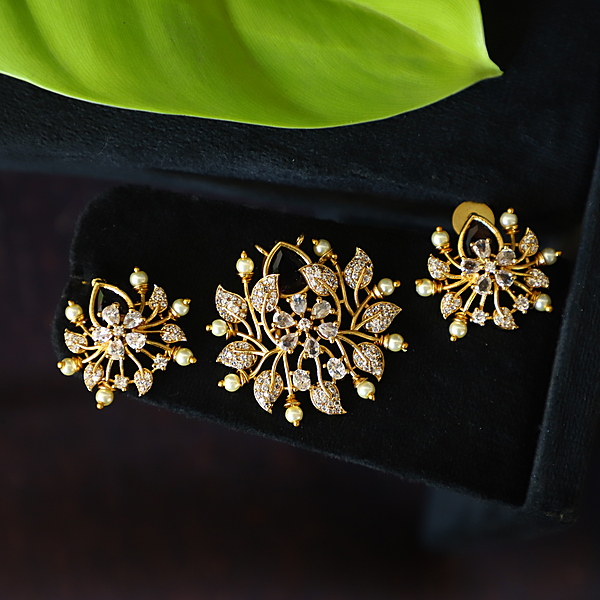 Fancy Design Dollar with earing