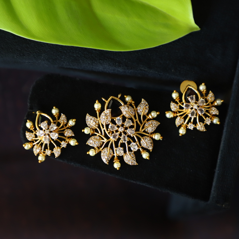 Fancy Design Dollar with earing