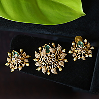 Fancy Design Dollar with earing