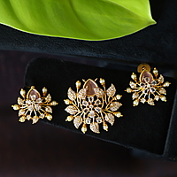 Fancy Design Dollar with earing