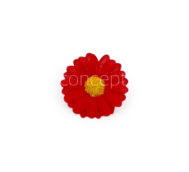 Red Daisy Flowers
