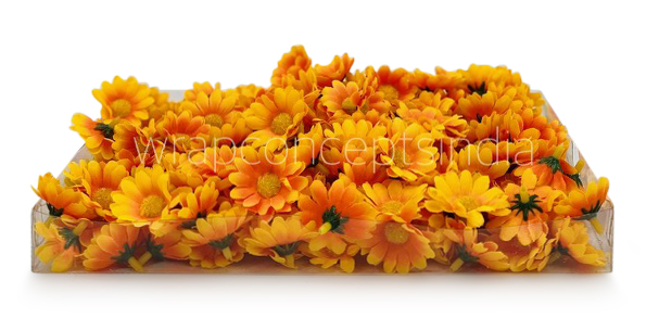 Yellow with Orange Daisy Flowers