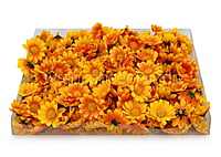 Yellow with Orange Daisy Flowers