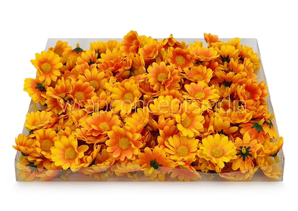 Yellow with Orange Daisy Flowers