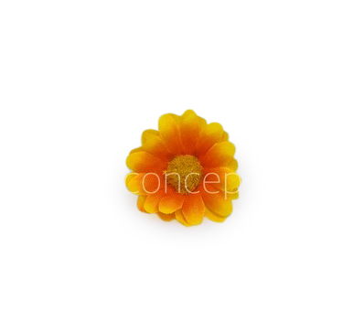 Yellow with Orange Daisy Flowers