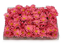 Bubble Gum Pink Daisy Flowers