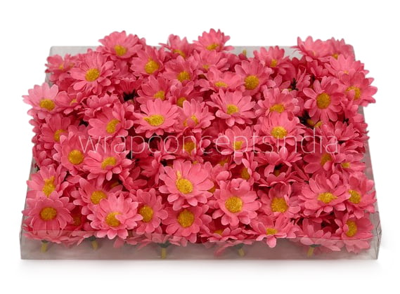 Bubble Gum Pink Daisy Flowers