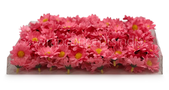 Bubble Gum Pink Daisy Flowers