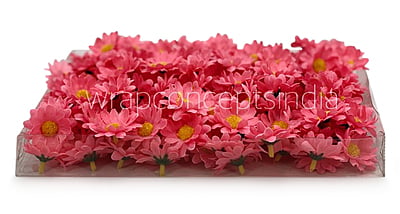 Bubble Gum Pink Daisy Flowers