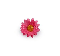 Bubble Gum Pink Daisy Flowers