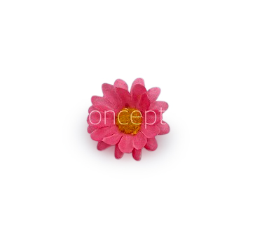 Bubble Gum Pink Daisy Flowers