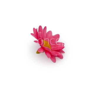 Bubble Gum Pink Daisy Flowers