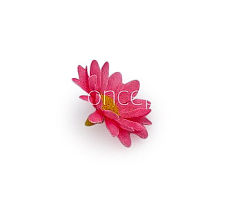 Bubble Gum Pink Daisy Flowers