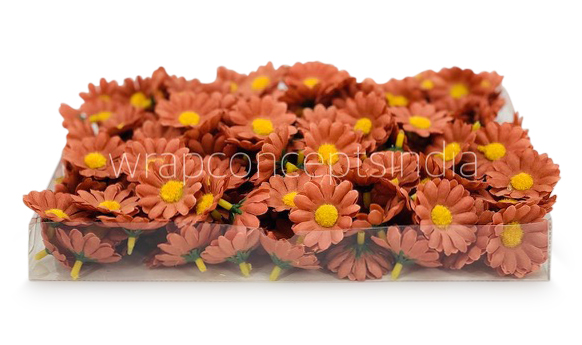 Cherry Wood Daisy Flowers