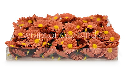 Cherry Wood Daisy Flowers