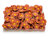 Cherry Wood Daisy Flowers