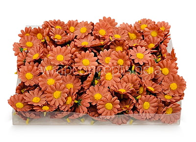 Cherry Wood Daisy Flowers