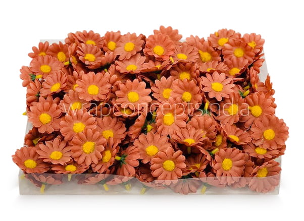 Cherry Wood Daisy Flowers