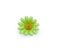 Lime Green Daisy Flowers