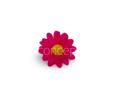 Fuchsia Pink Daisy Flowers