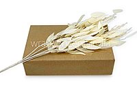 Leaves Stick Bunch - Ivory-AntiqueWhite