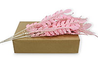 Baby Pink Leaves Stick Bunch